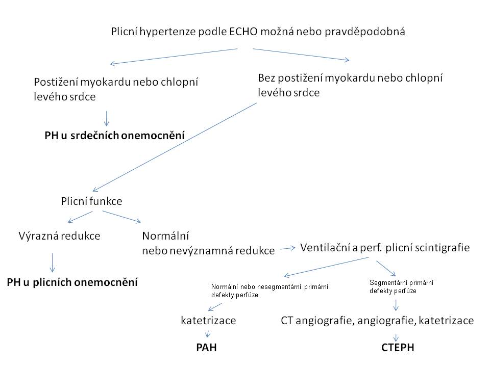 plicní hypertenze co to je