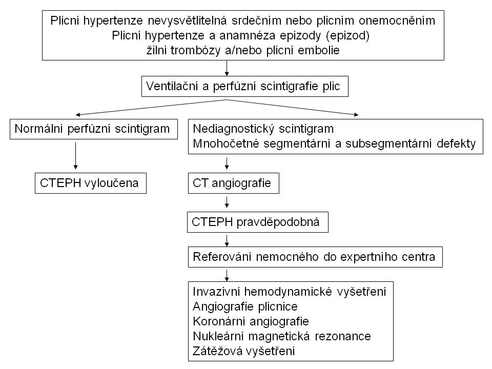 plicní hypertenze novorozence)